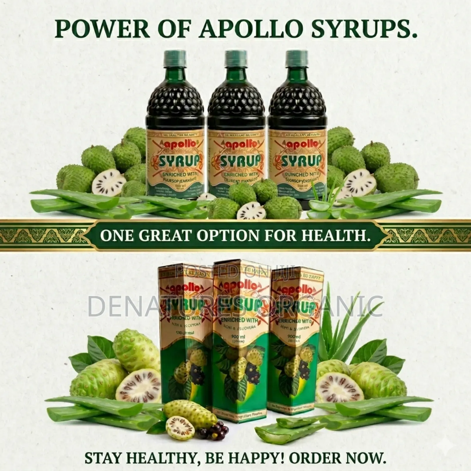 Apollo Noni Syrup Care for Cardiovascular Health Wuse Abuja Store
