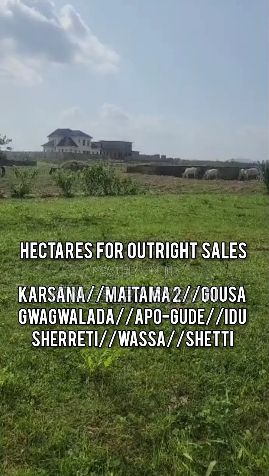 Direct Massive 100 Hectares for Outright Sales