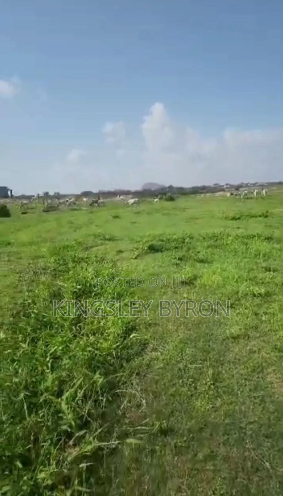 Direct Massive 100 Hectares for Outright Sales