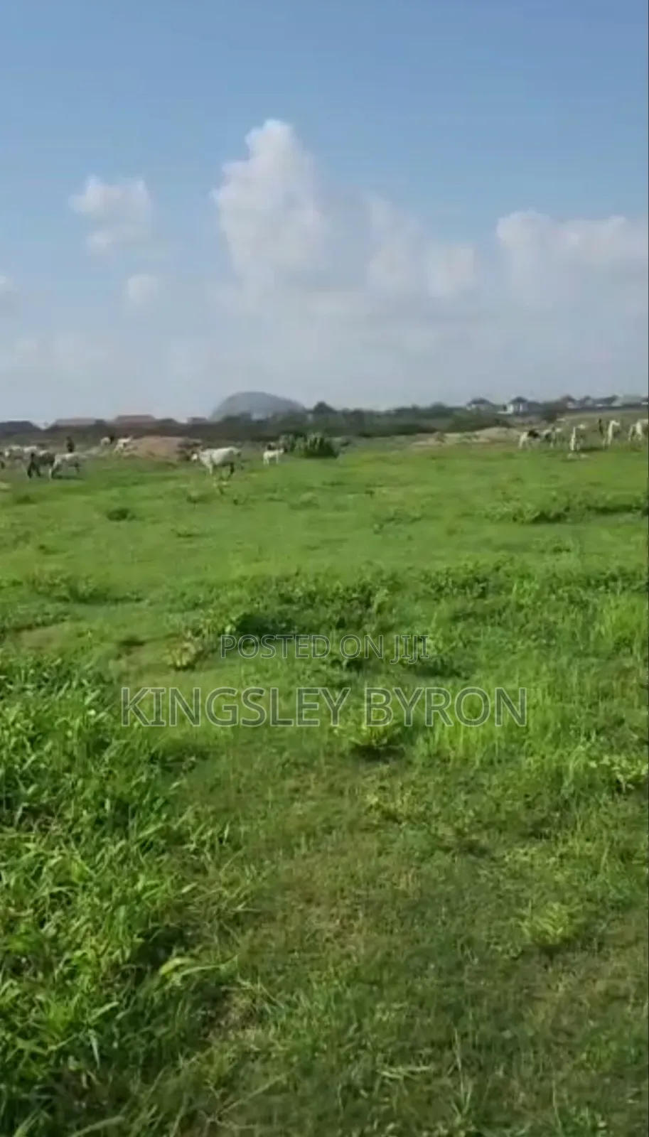 Direct Massive 100 Hectares for Outright Sales