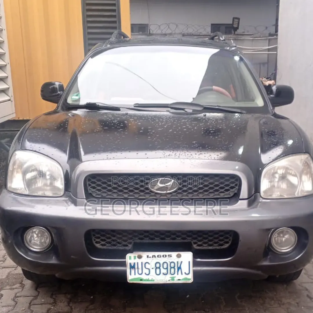 Hyundai Santa Fe 2001 Black