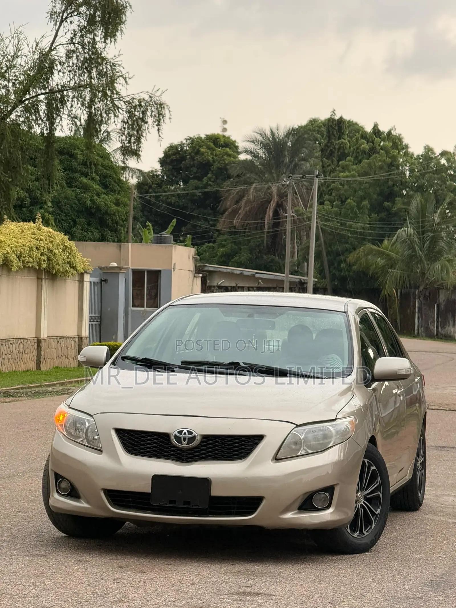 Toyota Corolla 2009 Gold