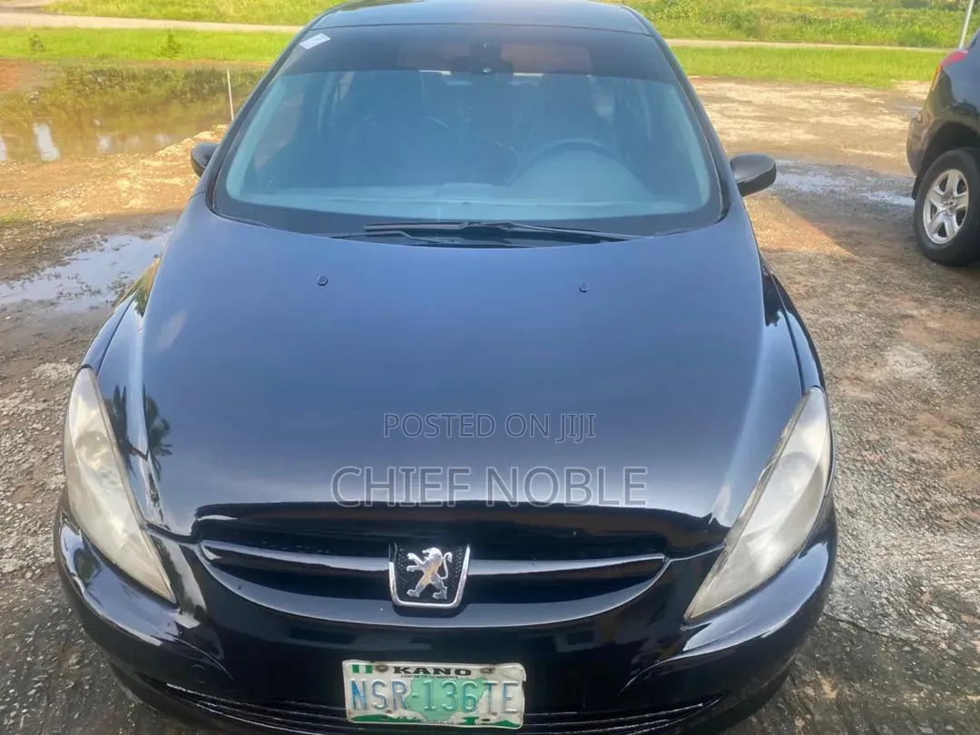 Peugeot 307 XT 1.6 Automatic 2008 Blue