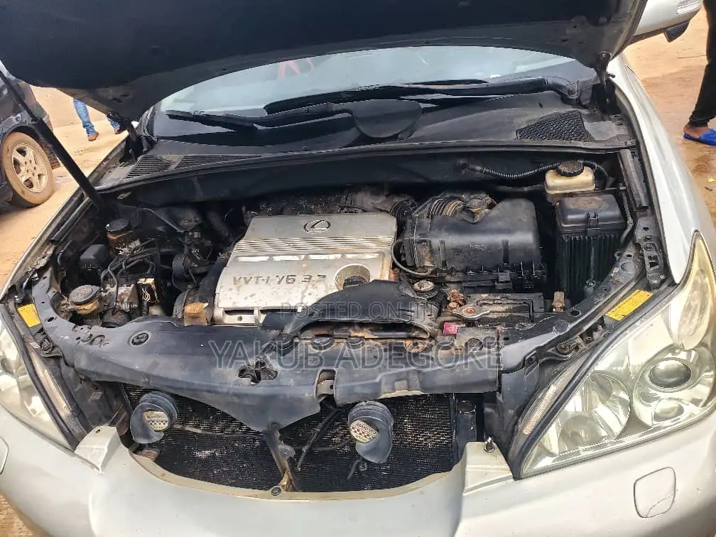 Lexus RX 330 2006 Gray