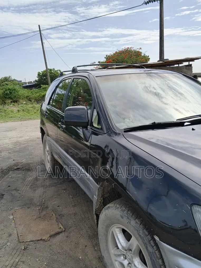 Lexus RX 2003 Black
