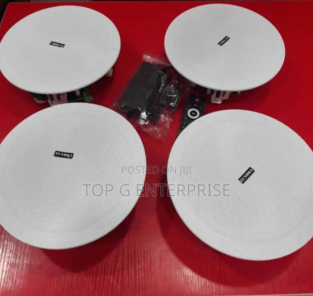 60w 4 in 1 Tundra Bt Ceiling Speaker