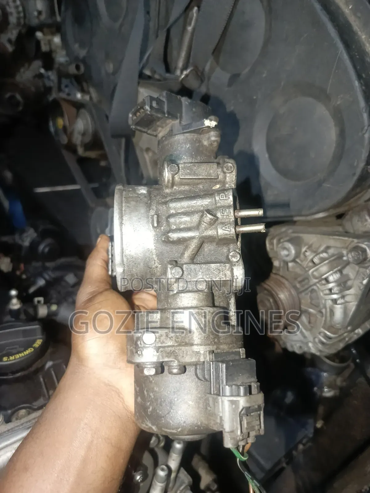 Kia Sedona Throttle Mouth Electric