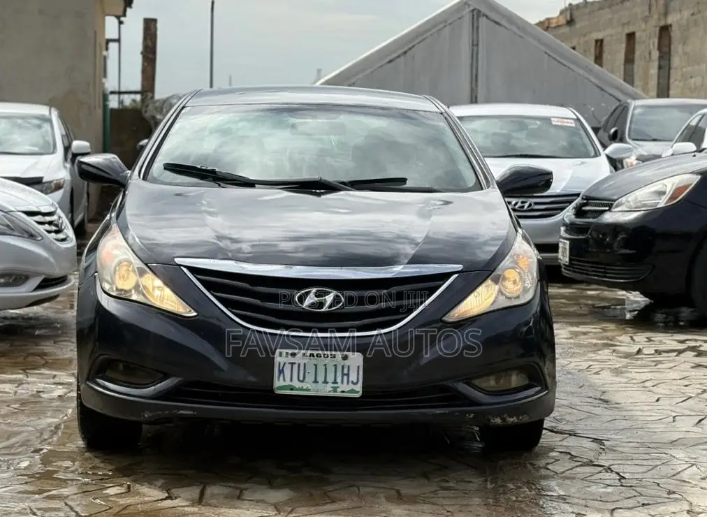 Hyundai Sonata 2011 Blue