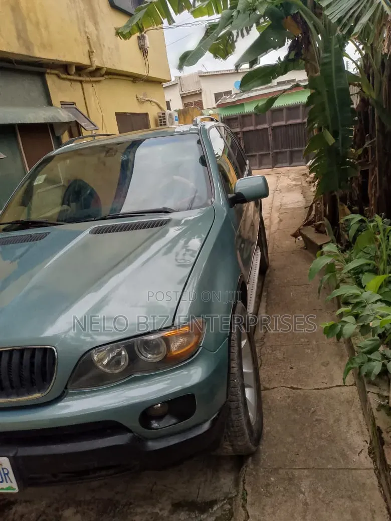 BMW X5 2005 Green