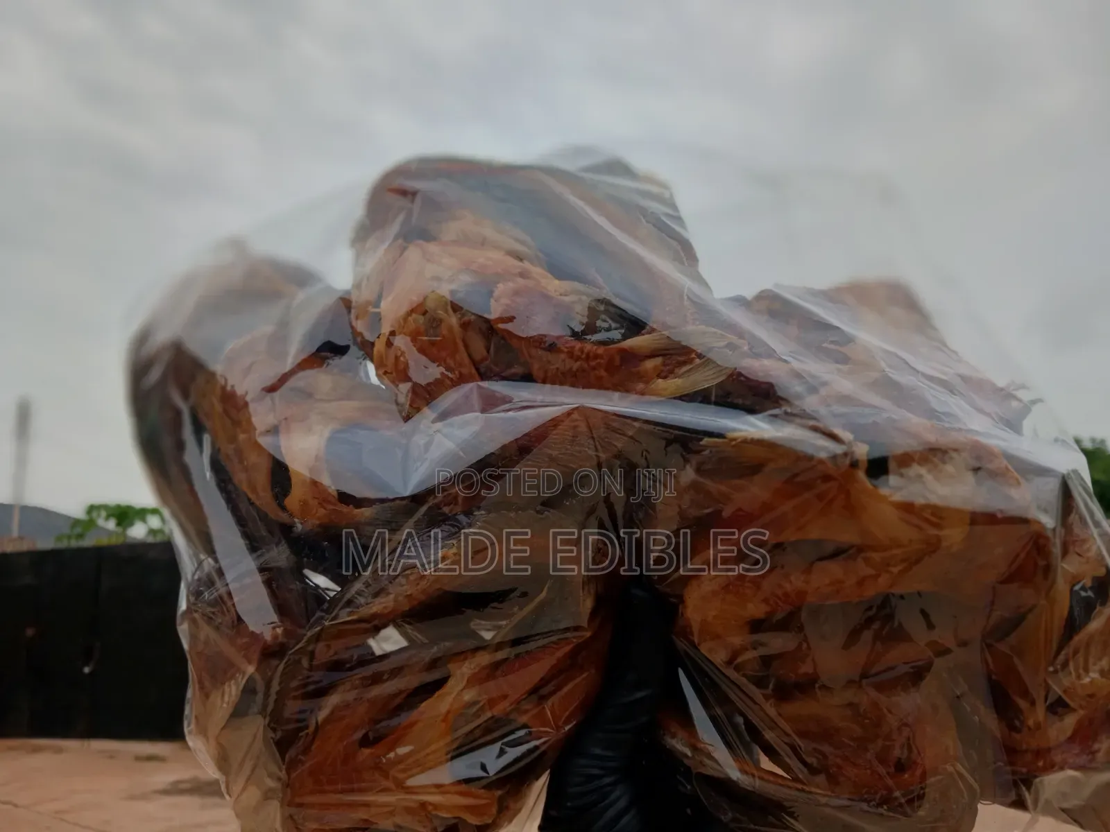Oven Dried Catfish/Export Standard/Long Shelf Life