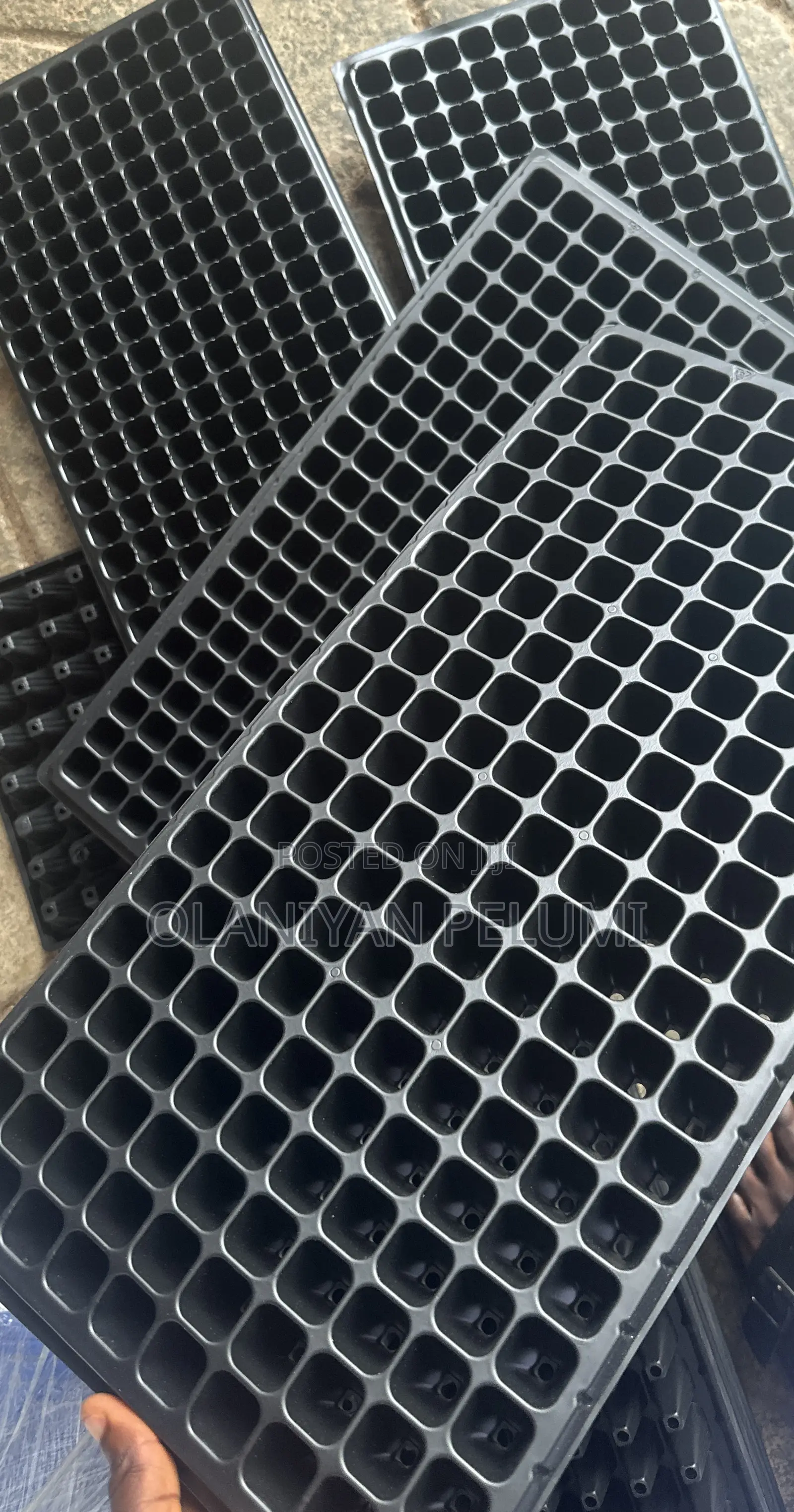 Seed Trays