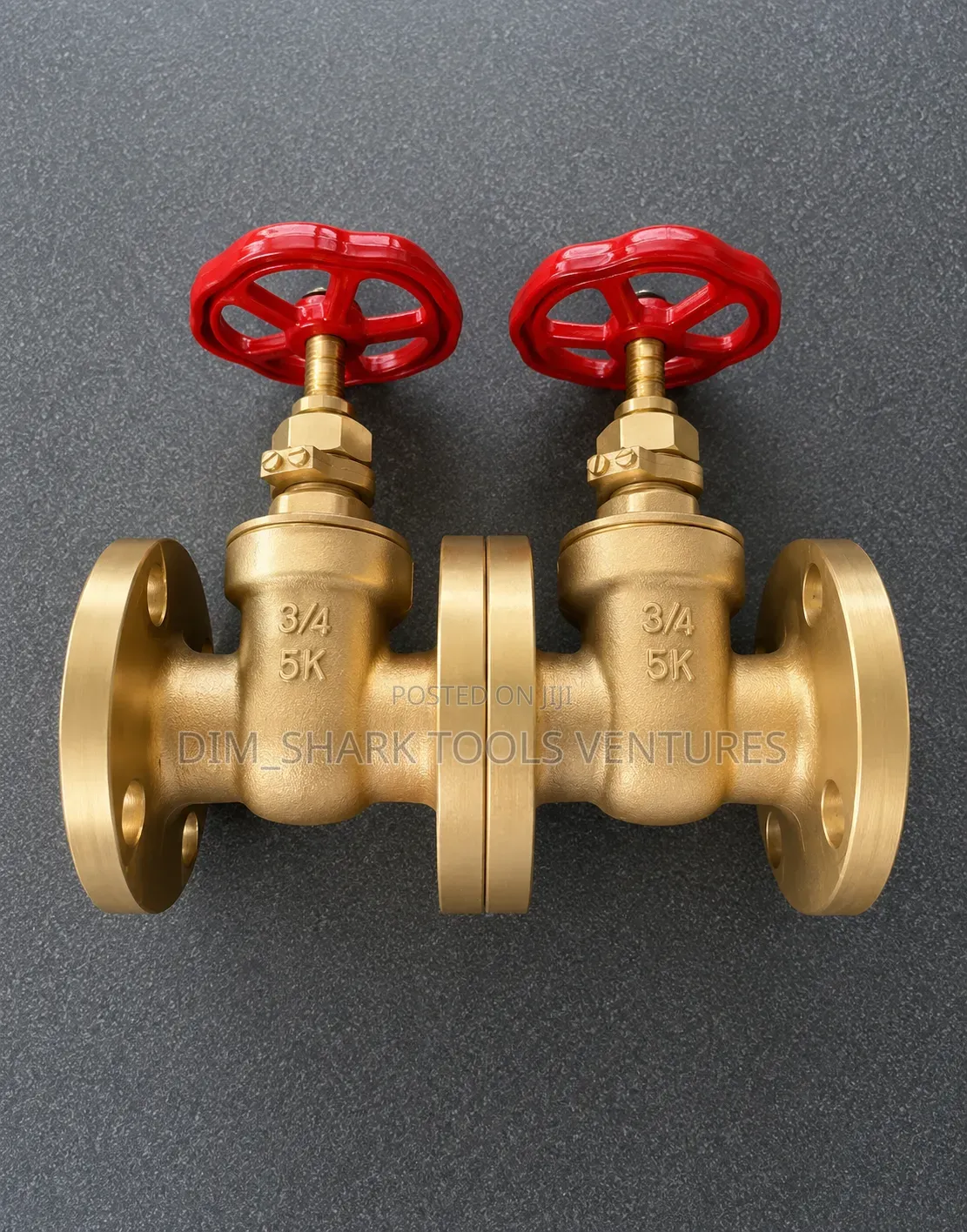 3/4-Inch Heavy Duty Brass Globe Valves