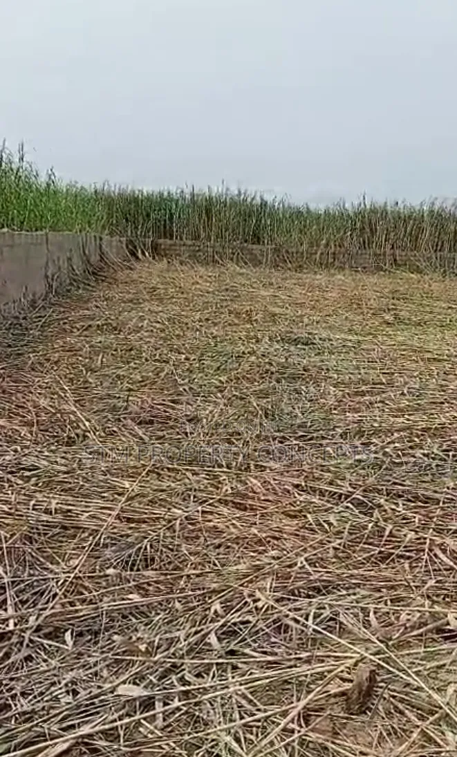 659sqm of Land for Sale at Unity Estate Before Ajah Lagos