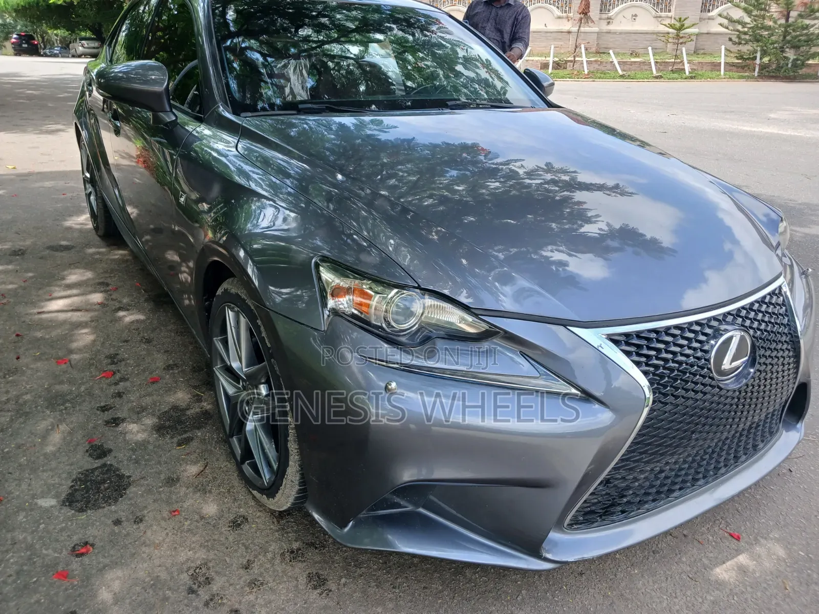 Lexus IS 250 2014 Gray