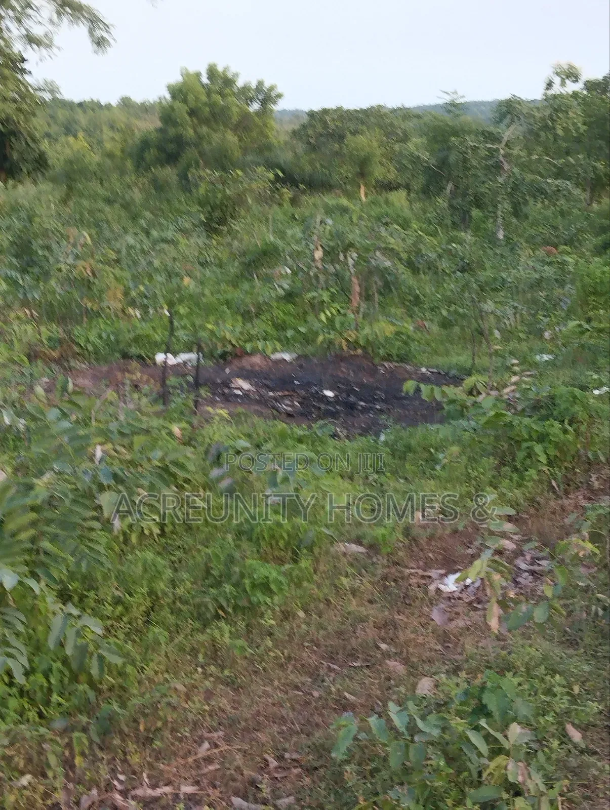 400 Acres of Agricultural Farmland for Sale, Adekola Village, Adoawaye