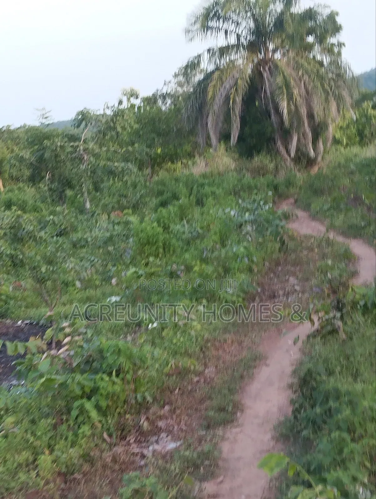 400 Acres of Agricultural Farmland for Sale, Adekola Village, Adoawaye
