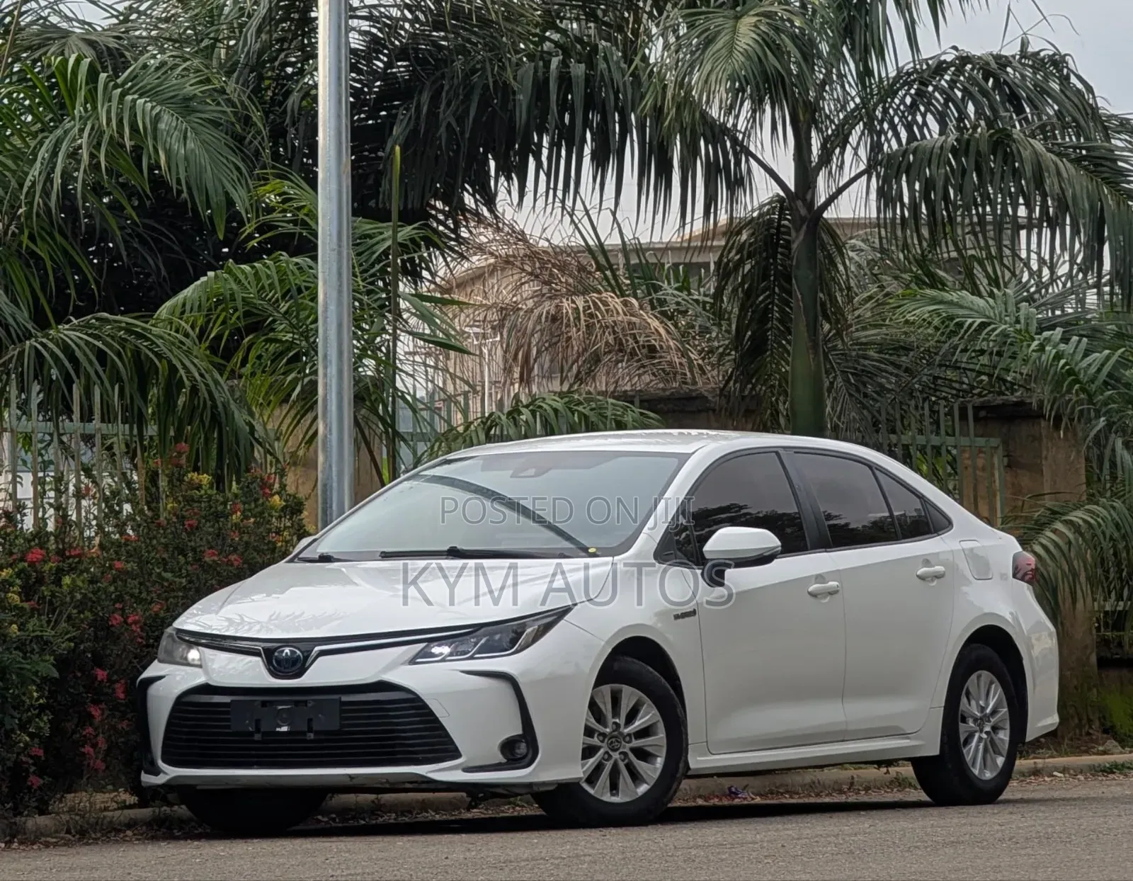 Toyota Corolla 2022 White