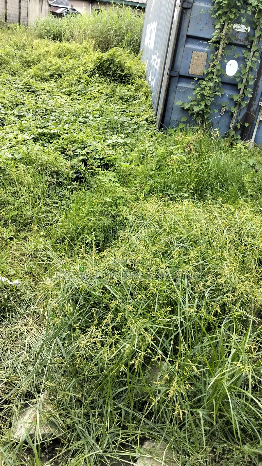 For Sale : 200 Plots Behind Salvation Ministries H/Quarters Igwuruta