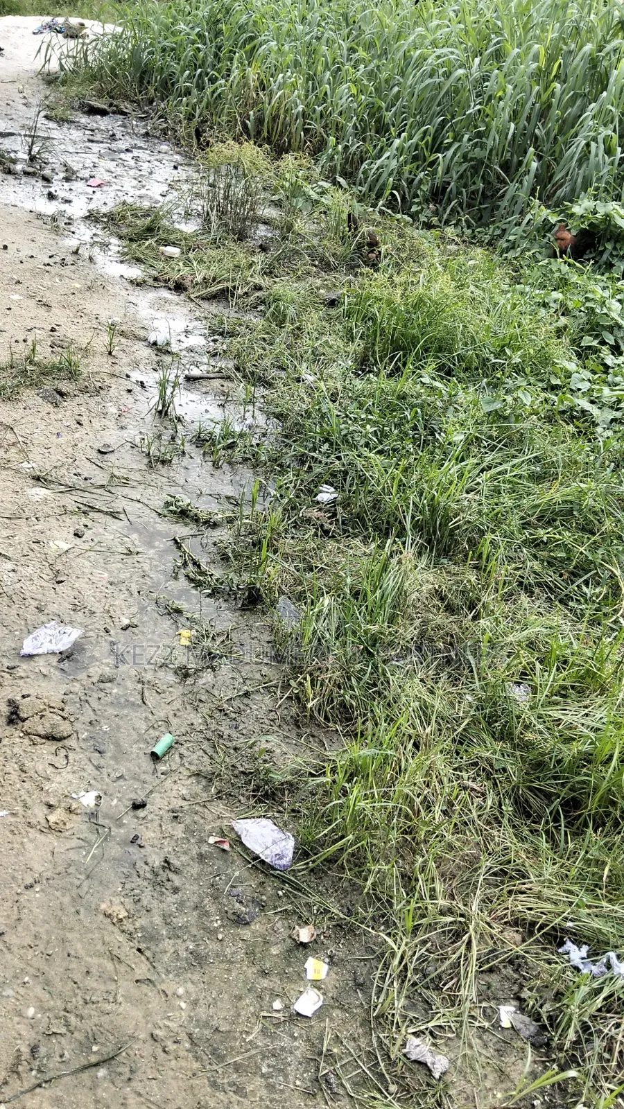 For Sale : 200 Plots Behind Salvation Ministries H/Quarters Igwuruta