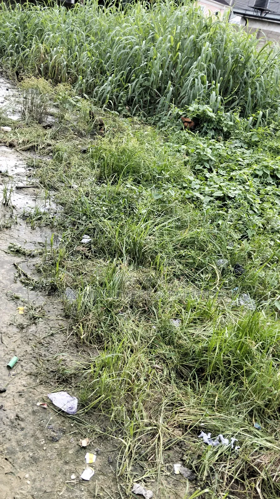 For Sale : 200 Plots Behind Salvation Ministries H/Quarters Igwuruta