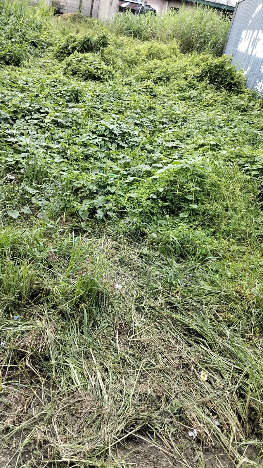 For Sale : 200 Plots Behind Salvation Ministries H/Quarters Igwuruta