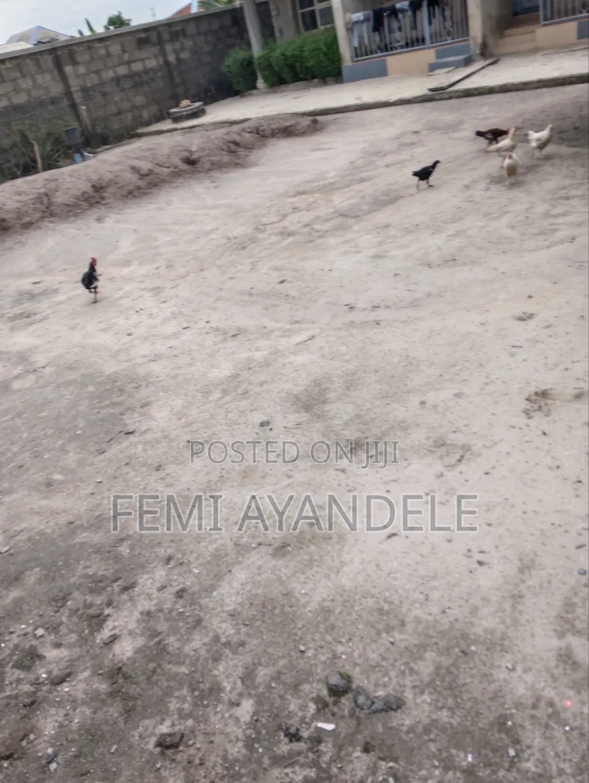 Furnished 1bdrm Apartment in Awobo Estate, Igbogbo for rent