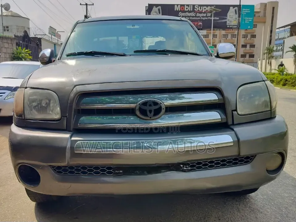 Toyota Tundra 2005 Gray