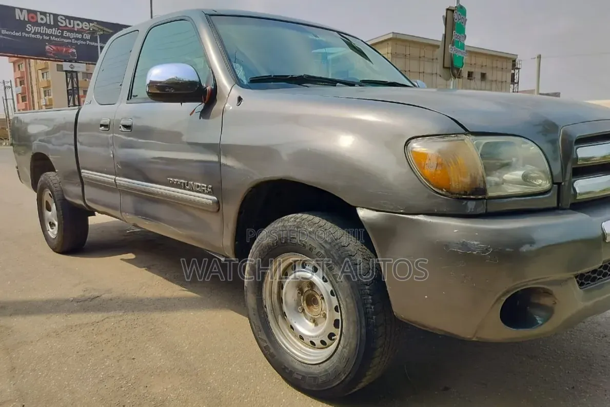Toyota Tundra 2005 Gray
