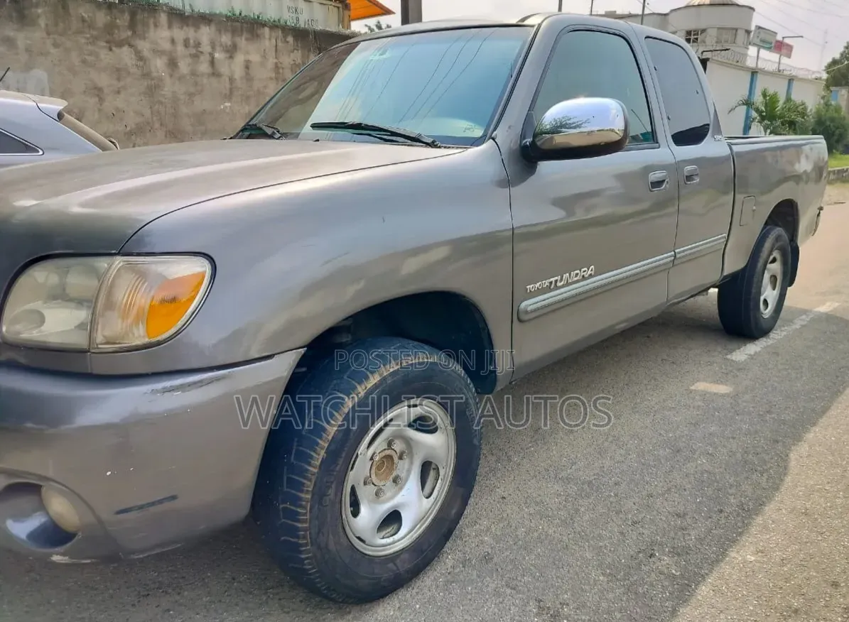 Toyota Tundra 2005 Gray
