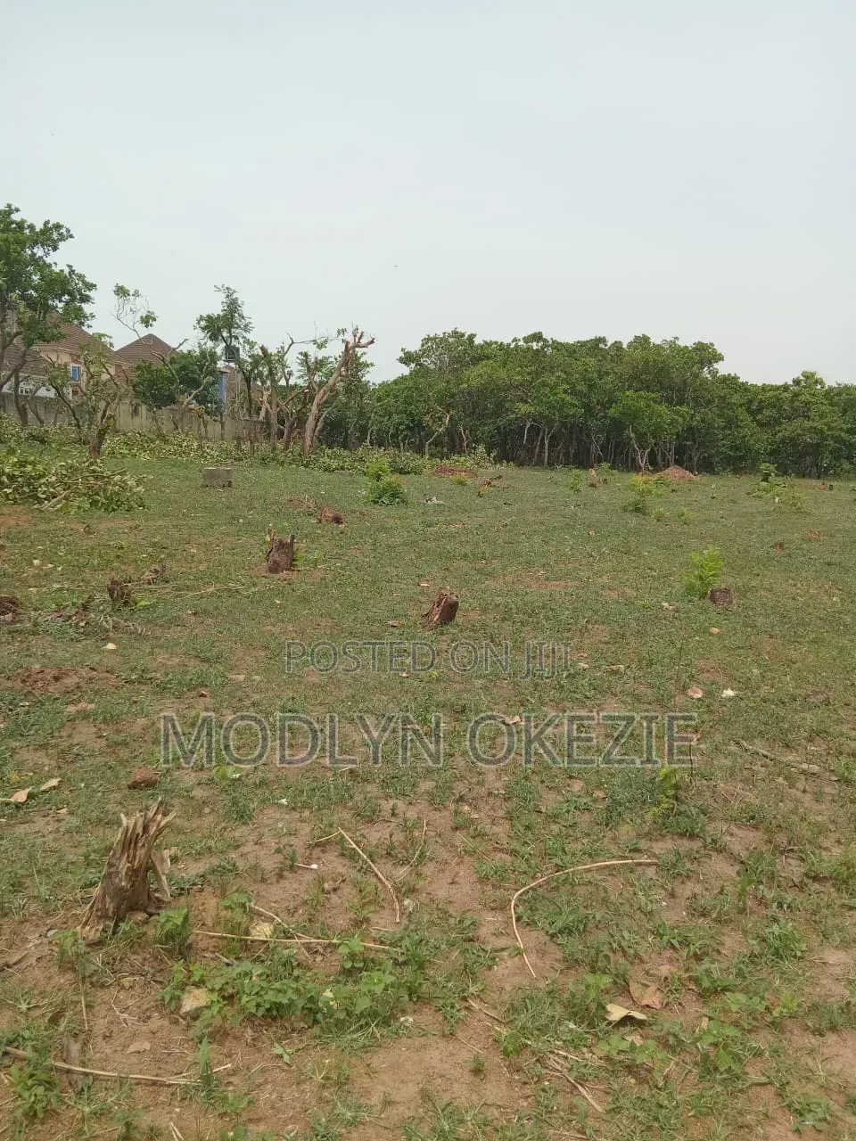 Kingsville Estate Kurudu