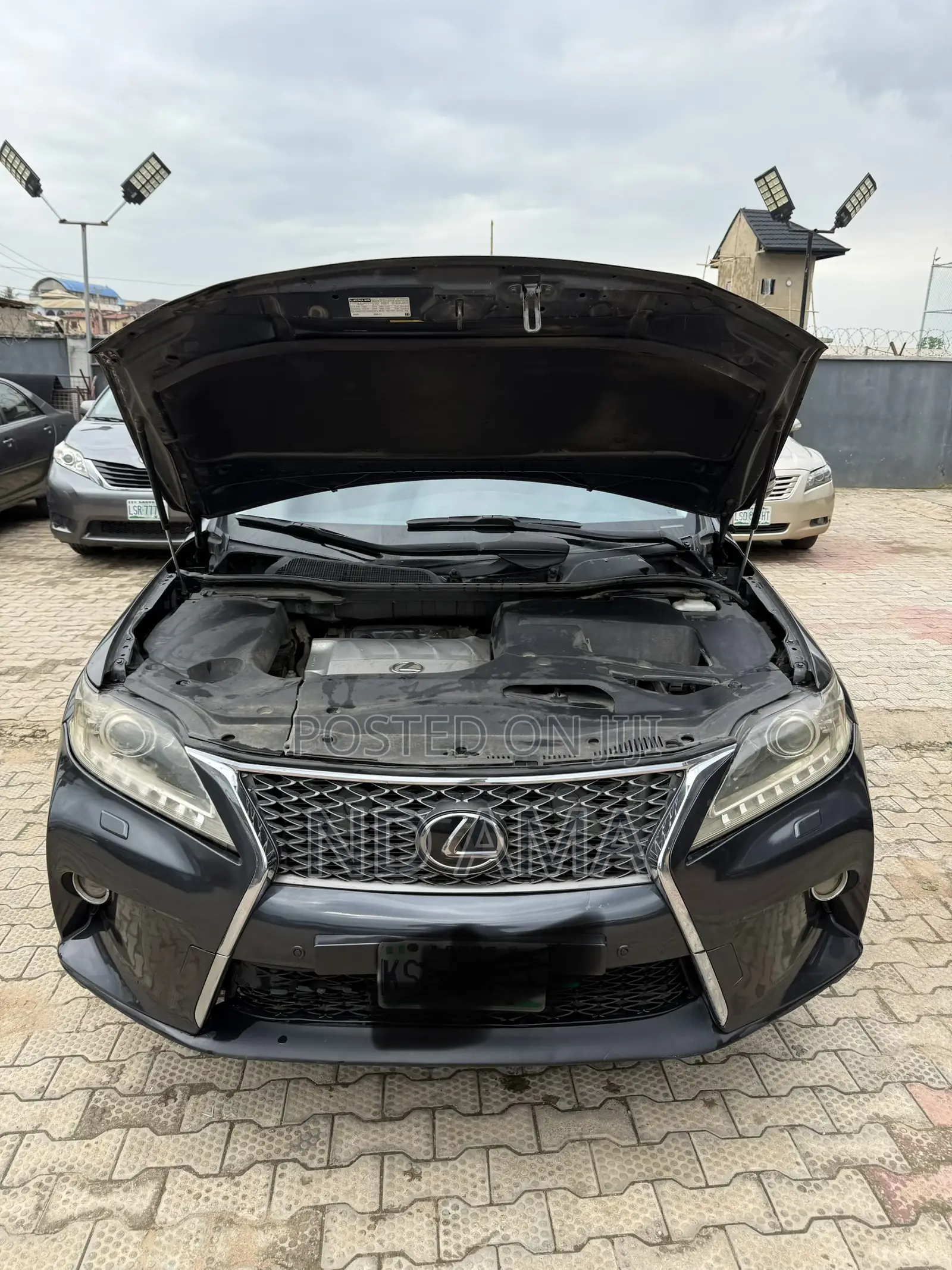 Lexus RX 2010 Blue