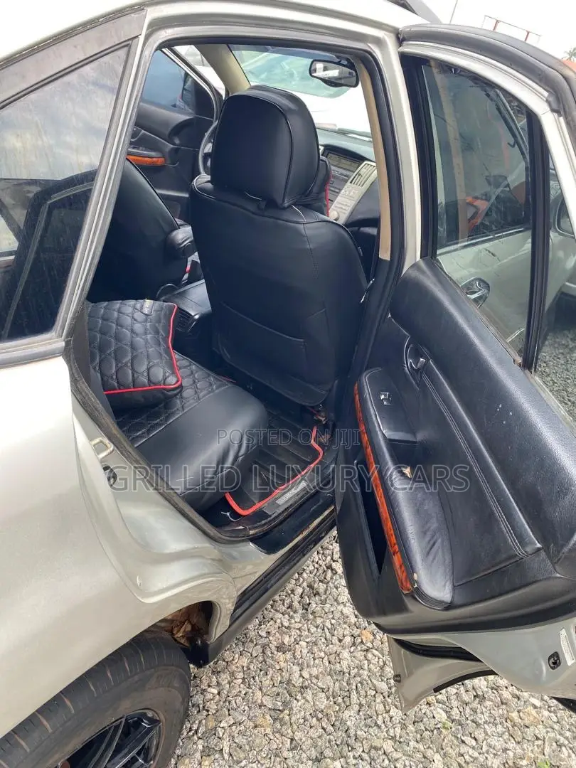 Lexus RX 330 2006 Gray