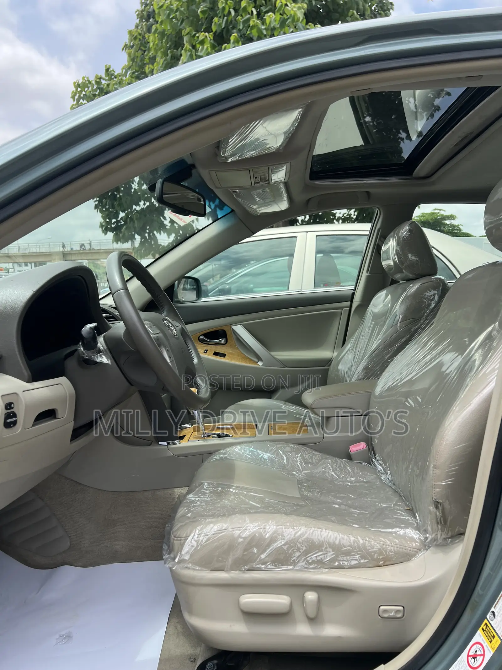 Toyota Camry XLE V6 4dr Sedan (3.5L 6cyl 6AM) 2008 Green