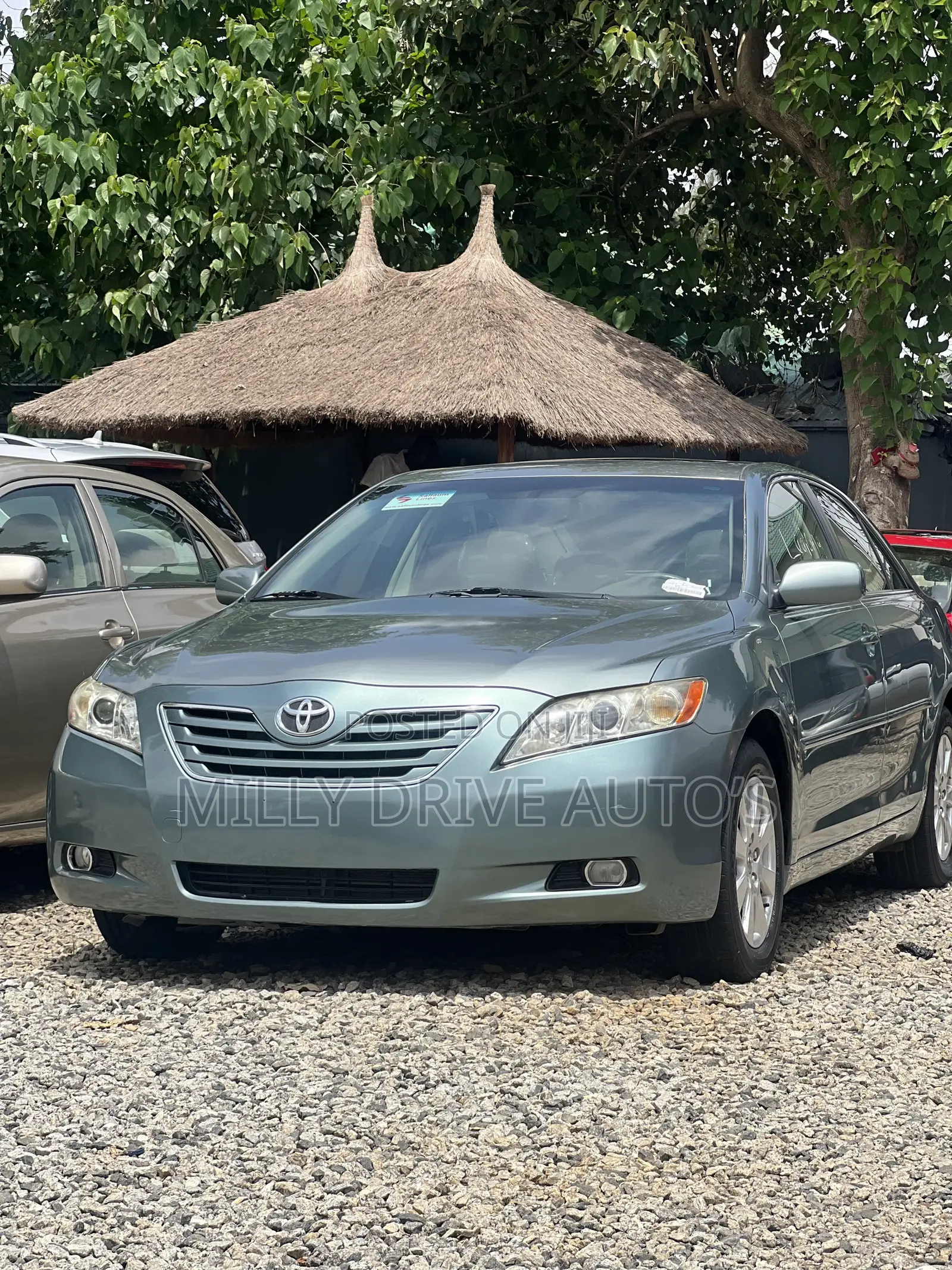Toyota Camry XLE V6 4dr Sedan (3.5L 6cyl 6AM) 2008 Green