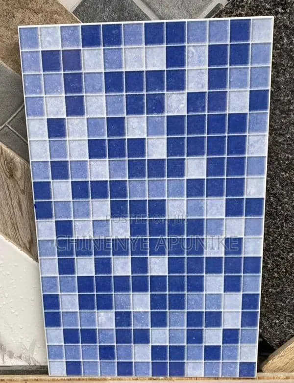 25×40 Royal Castle Nigeria Swimming Pool Tiles