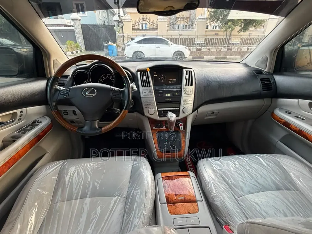 Lexus RX 2009 Gray