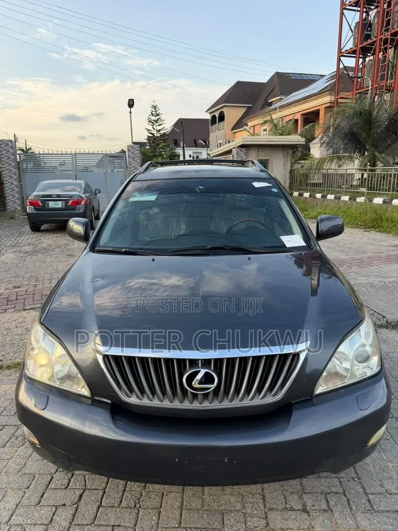 Lexus RX 2009 Gray
