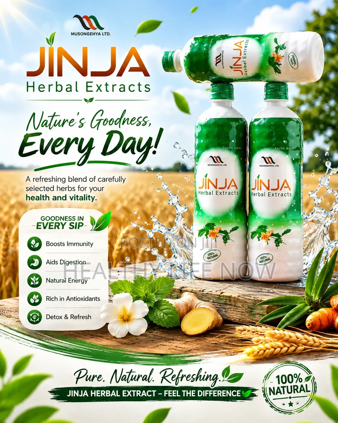 Jinja Rich in Antioxidants, Detoxify and Cleanse Body for Ailments