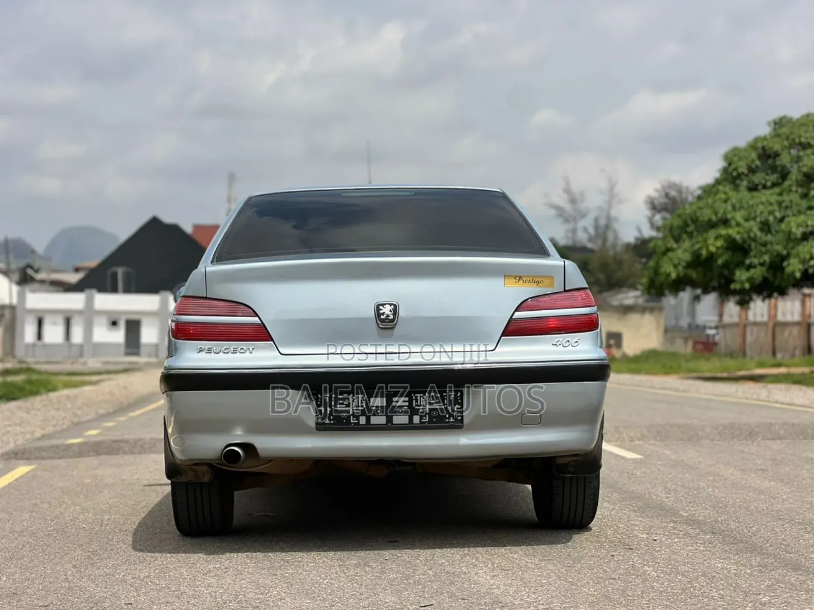 Peugeot 406 2006 Silver