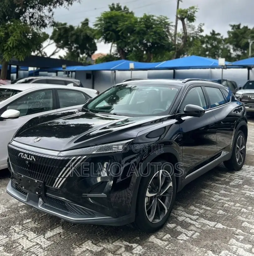 New Dongfeng Glory 2025 Black