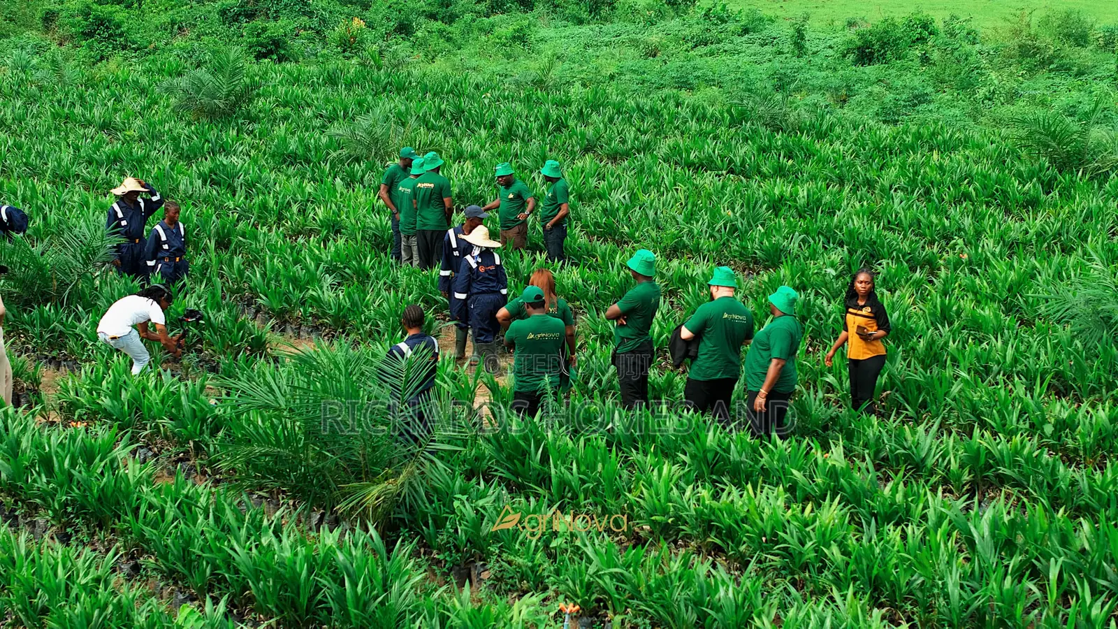 Oil Palm Hectares of Land for Sale in Ogun State