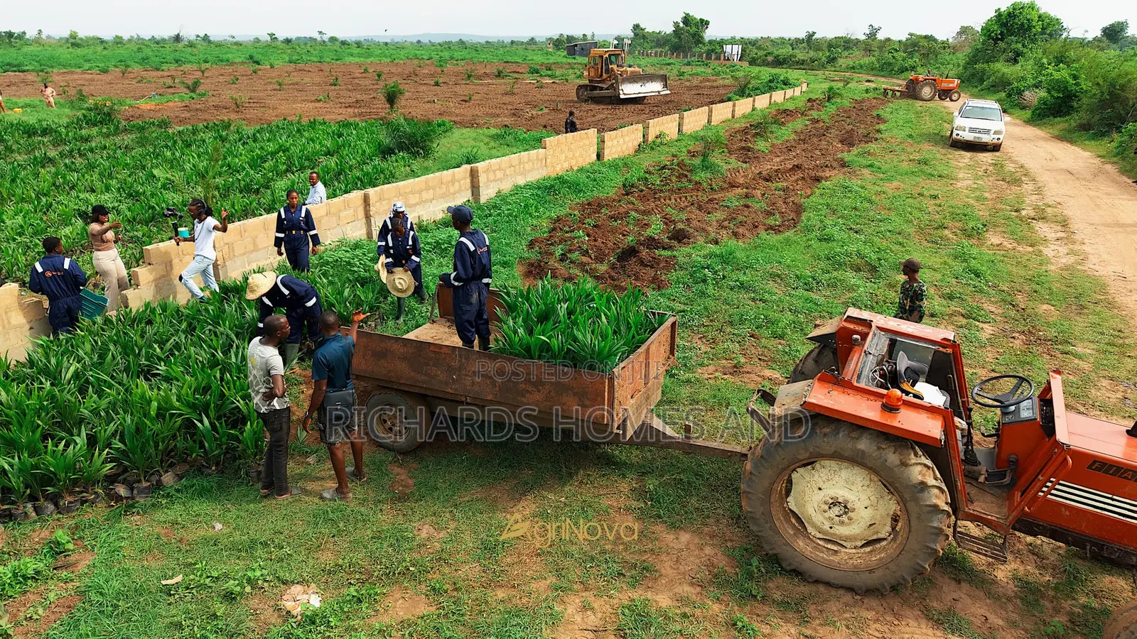 Oil Palm Hectares of Land for Sale in Ogun State