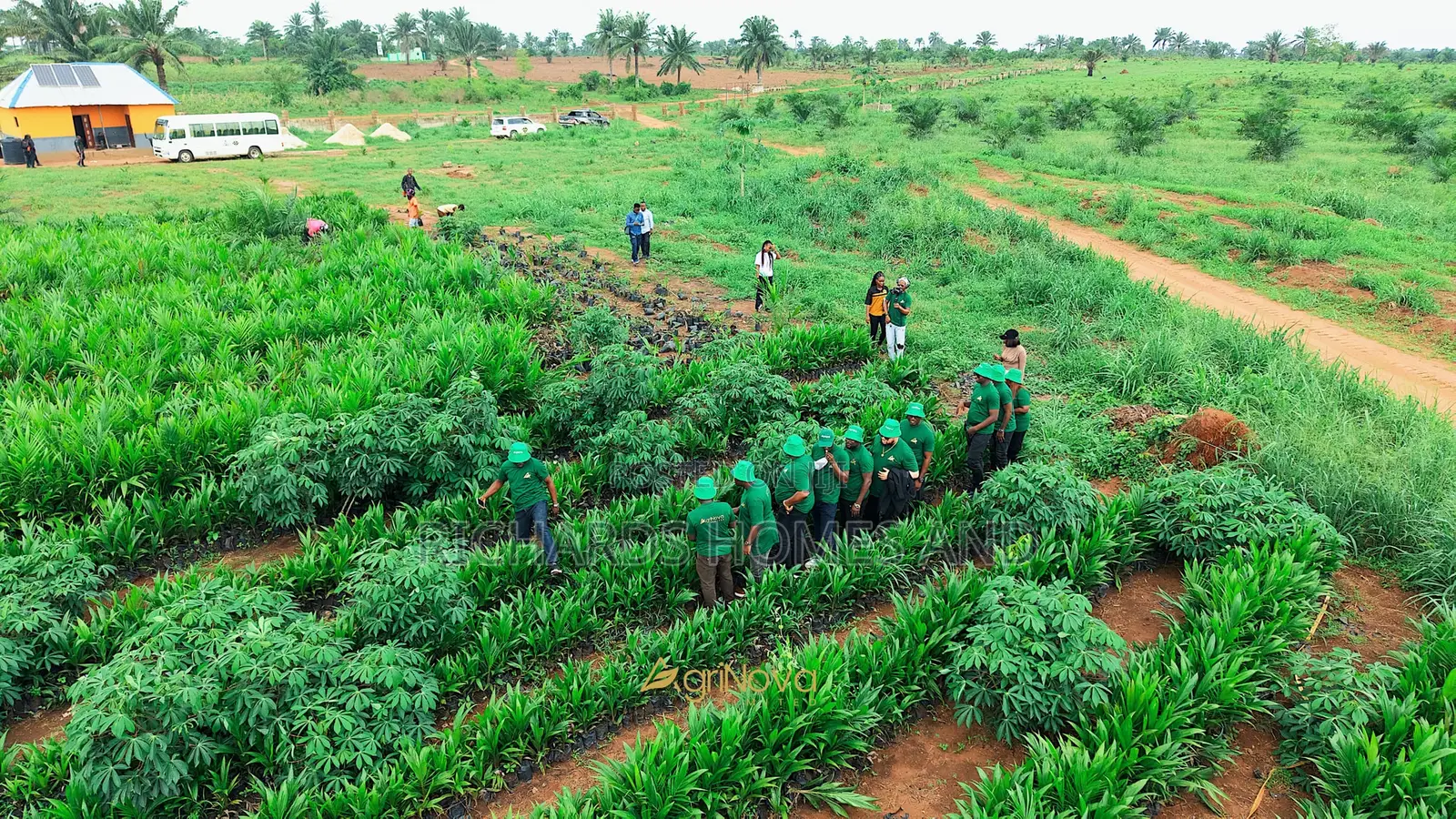Oil Palm Hectares of Land for Sale in Ogun State