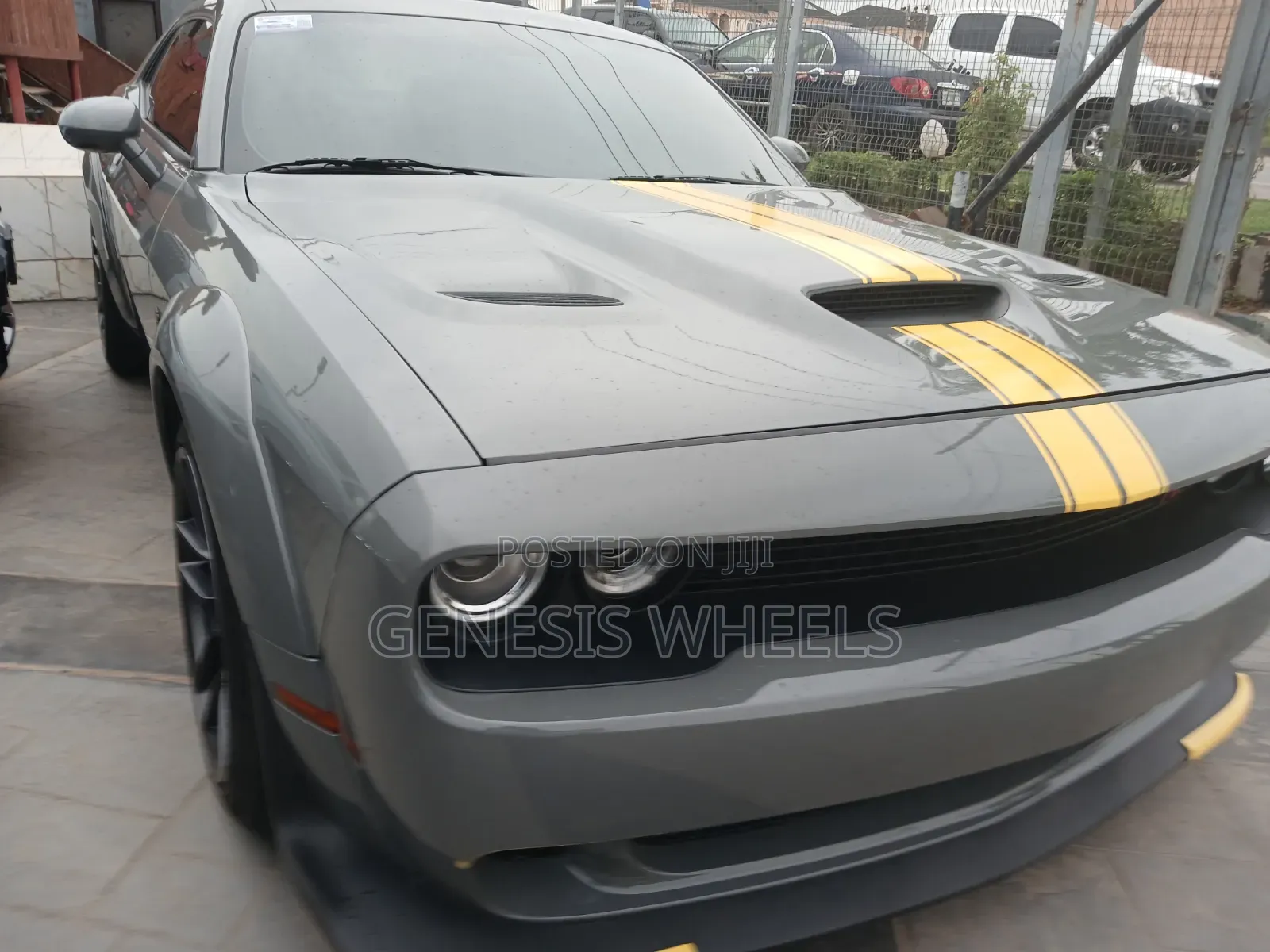 Dodge Charger 2024 Gray
