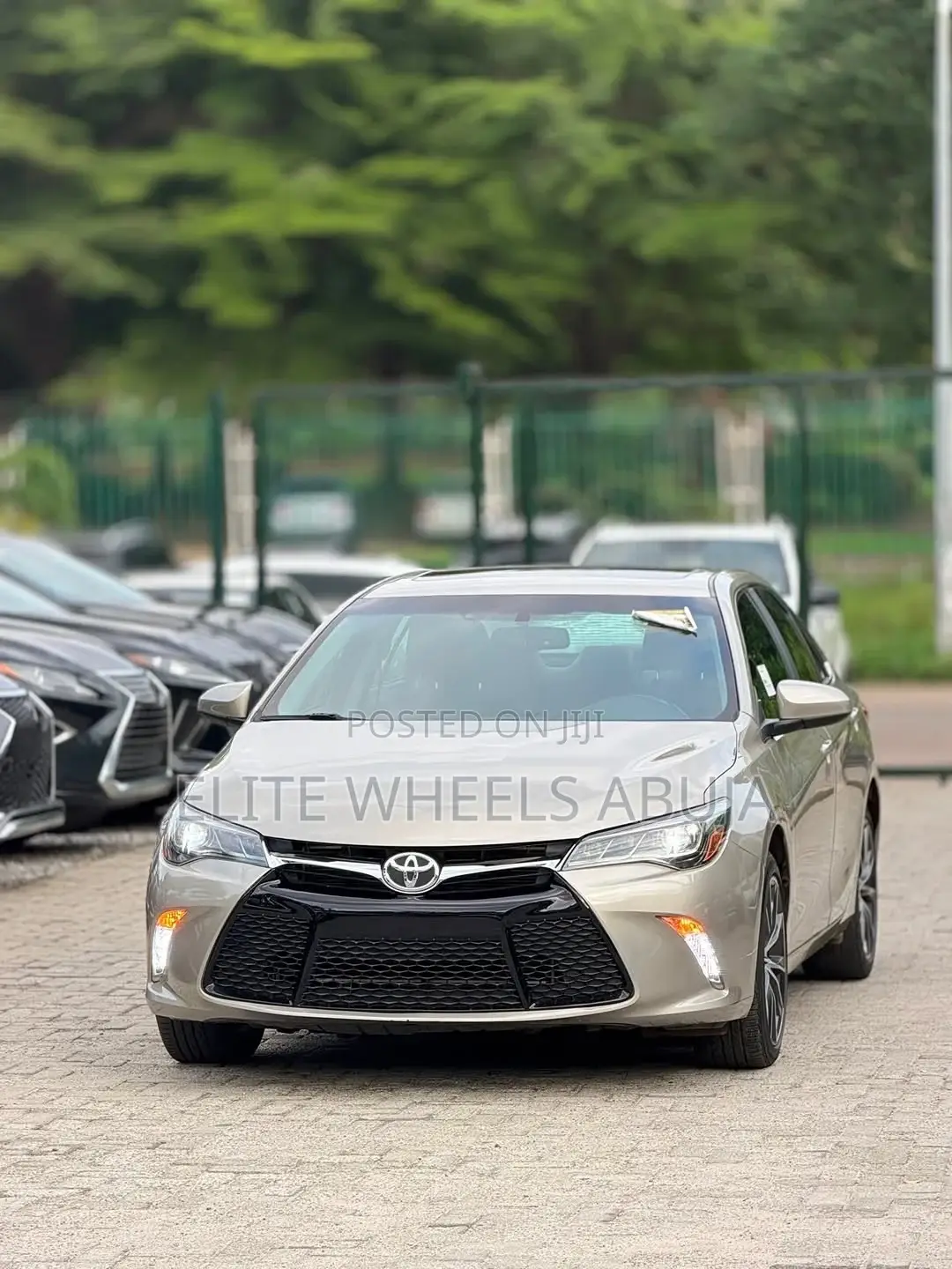 Car Rentals