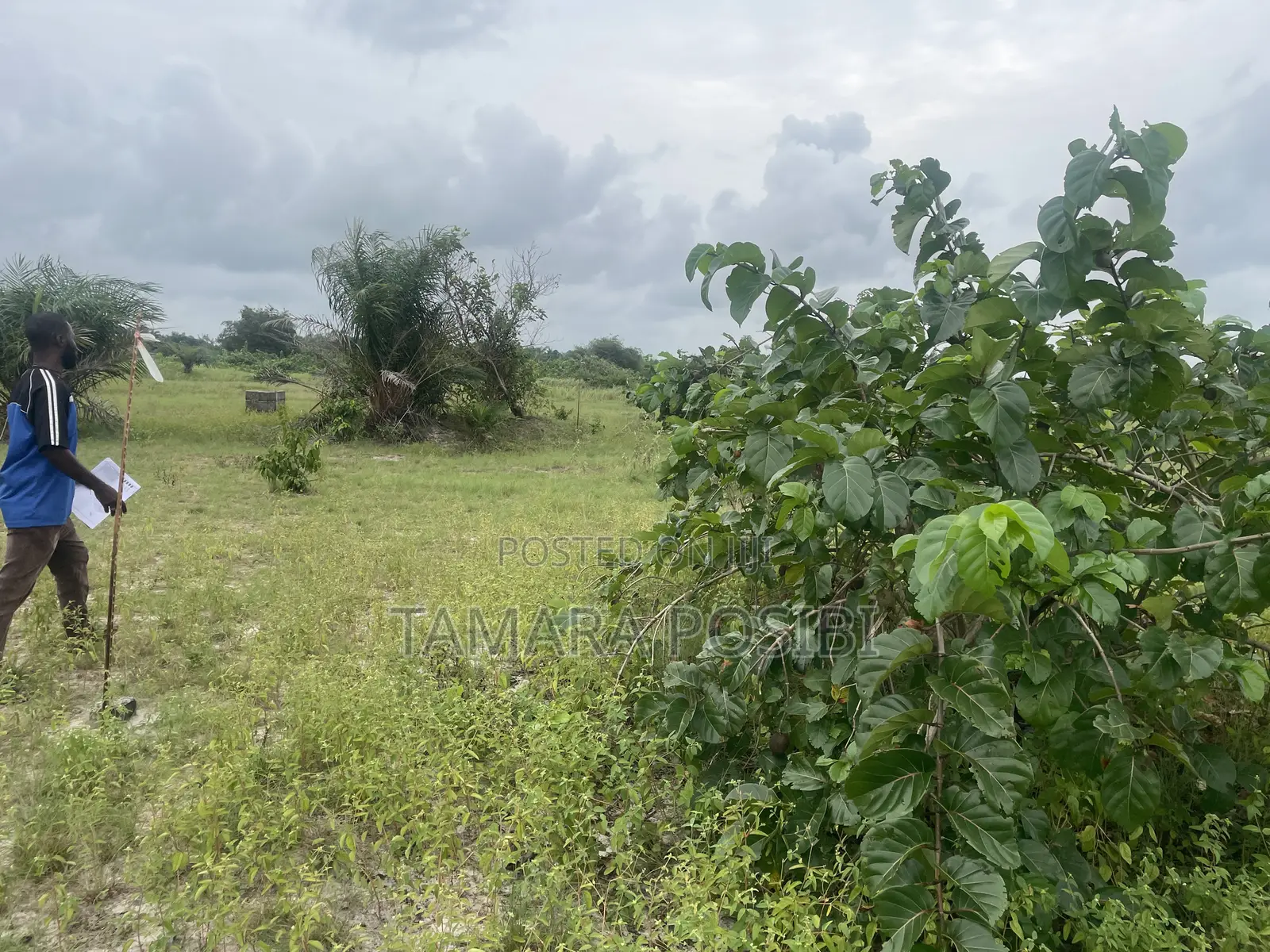 Allocated Prime Plot in an Estate at Ibeju Lekki