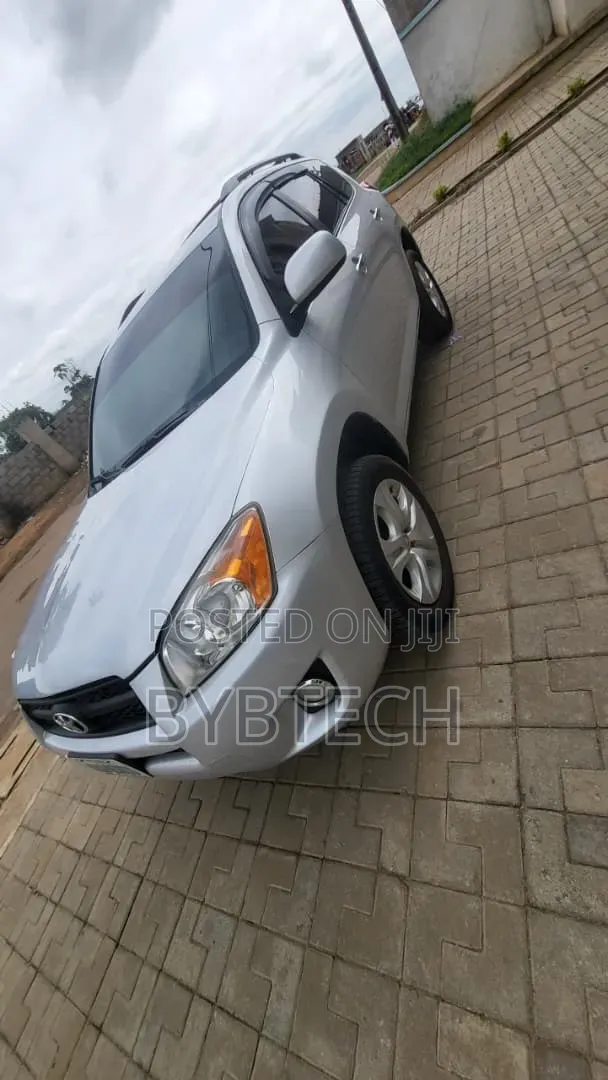 Toyota RAV4 2010 Silver