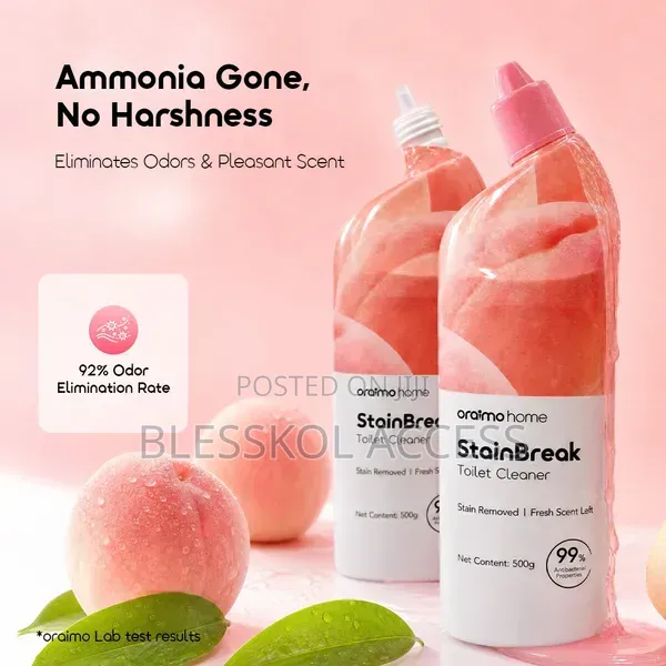 Oraimo Stainbreak Fragrant Toilet Cleaner 500g*2pcs