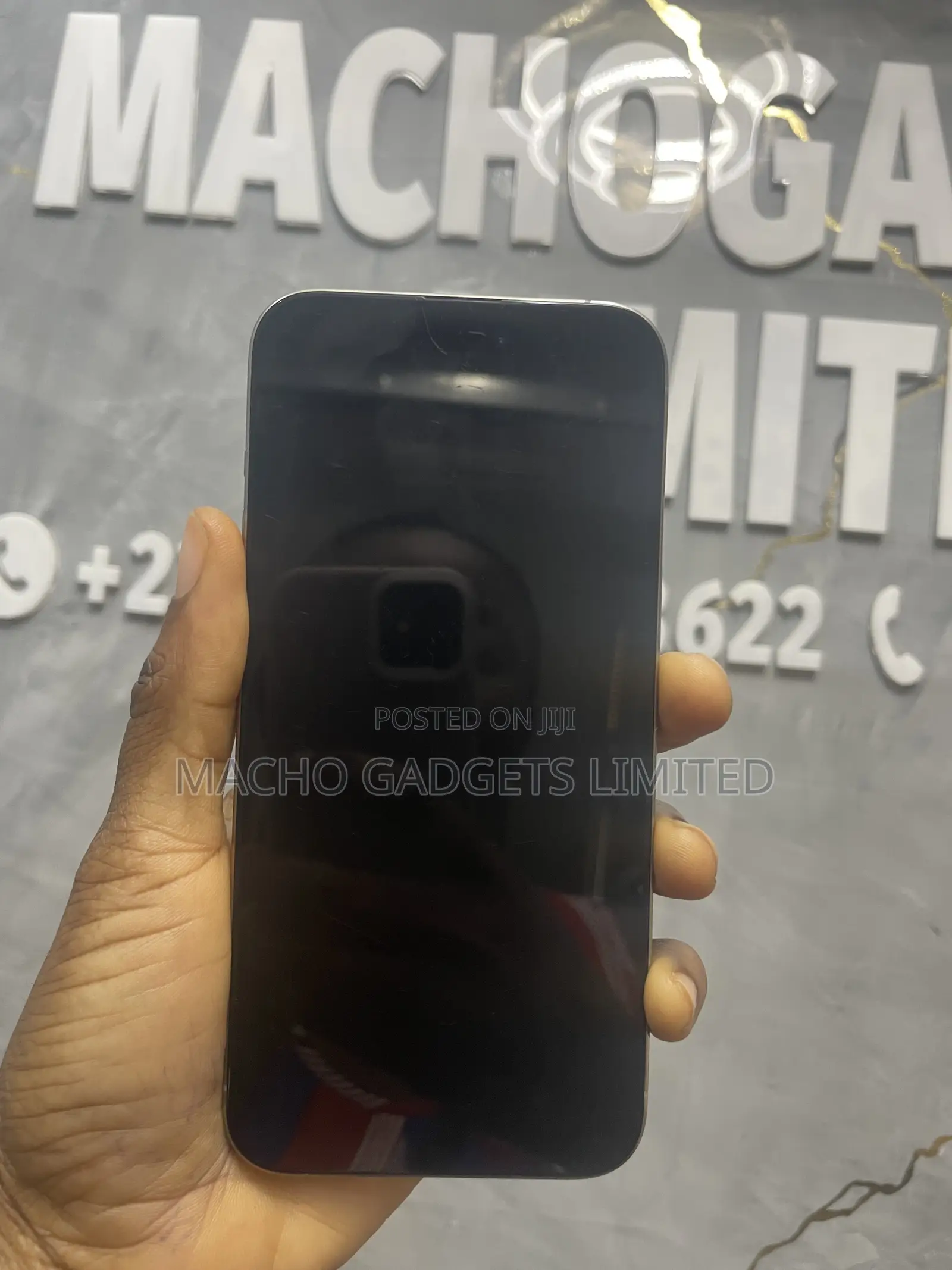 Apple iPhone 15 Pro Max 256 GB Gray