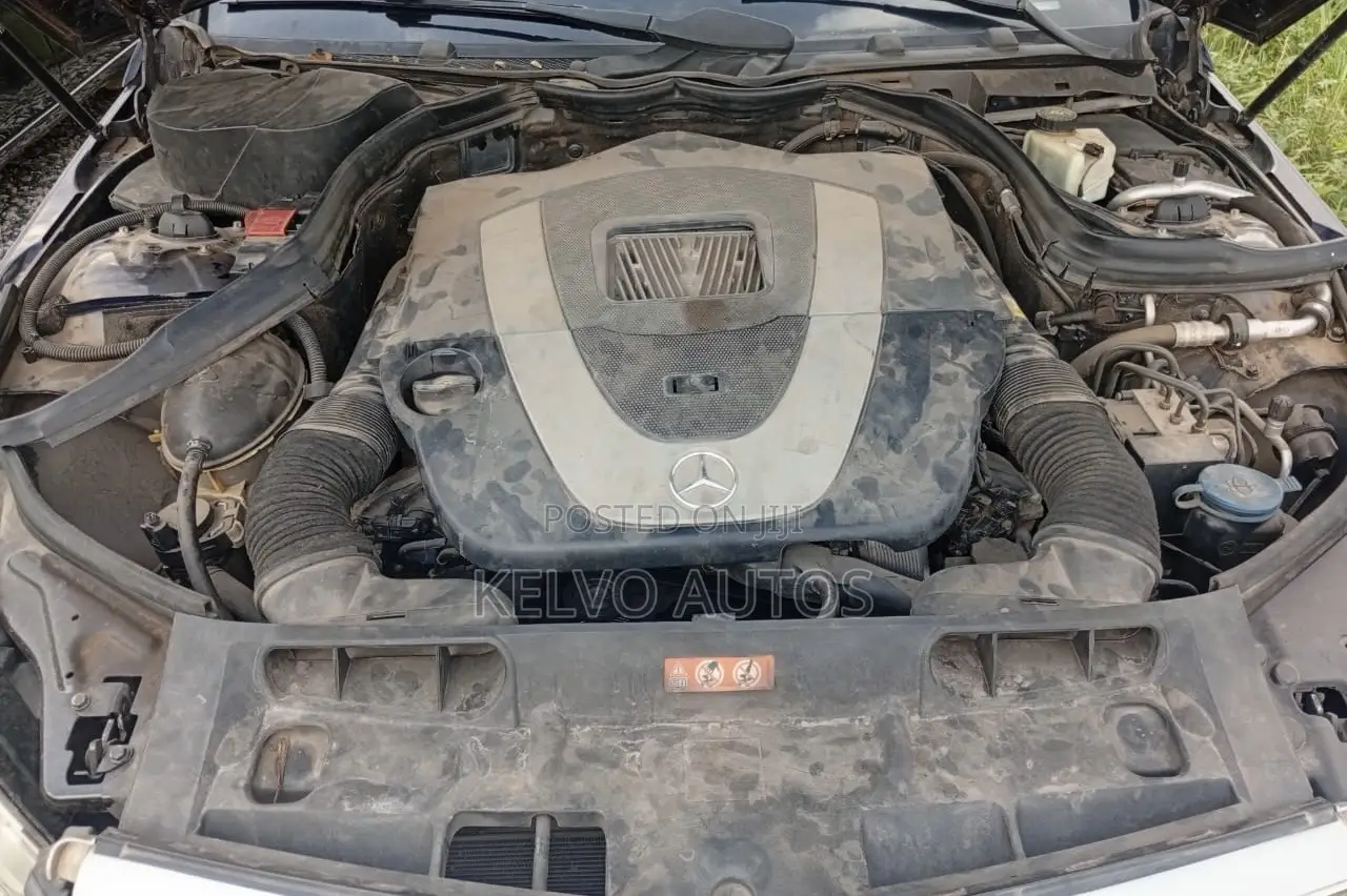 Mercedes-Benz C300 2008 Blue